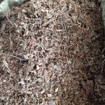 藤茶别名溪黄茶甘露藤茶龙须茶莓茶茶叶白茶