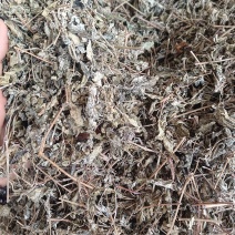藤茶别名白茶溪黄茶甘露藤茶龙须茶莓茶茶叶