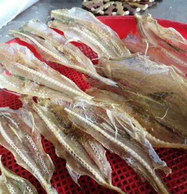 水鱼龙鱼水鱼干龙鱼干