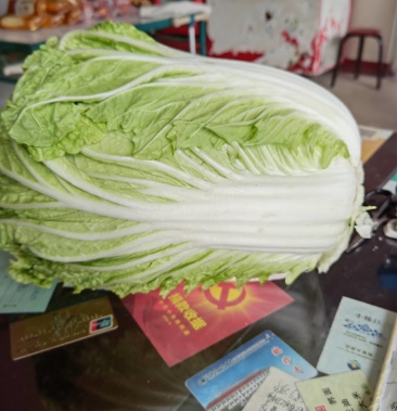 [麻叶青白菜批发]青麻叶和包头白价格0.33元/斤 - 一亩田