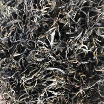 普洱茶生茶云南古树茶散装茶纯手工茶散装批发直销包邮