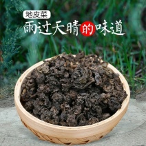 野生地皮菜甘肃陇西农户自采产地直发纯野生地皮菜