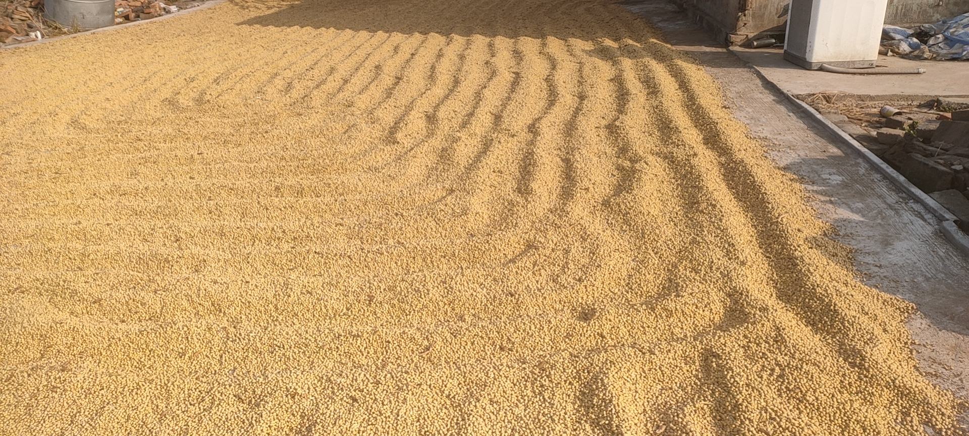 卧室中正在晾晒的大豆被