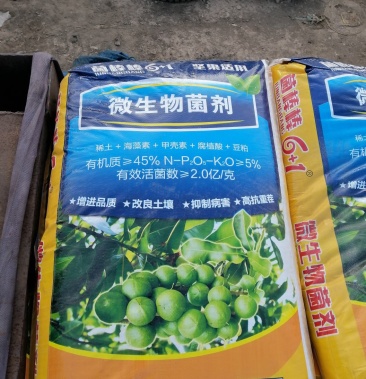 坚果苗,八角苗坚果专用肥,泰国红肉干包菠萝蜜