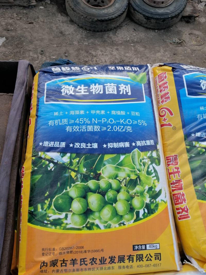 [菠萝蜜批发]广西崇左龙州县菠萝蜜 2.00元/斤坚果苗,八角苗 _ 一亩田