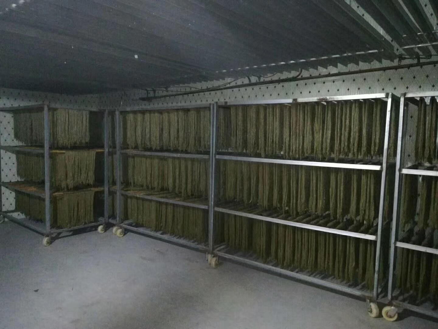 现代化食品加工厂内景,工人操作不锈钢管道式喷雾干燥设备,输送带上传送着刚制成的金钻凤梨粉,包装区摆放着印有‘天然菠萝粉’字样的密封罐,体现工业化生产流程 金钻凤梨粉生产线场景