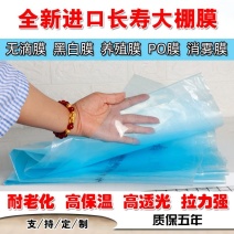 大棚膜透明加厚无滴膜抗老化农用塑料薄膜长寿地膜防水养殖黑