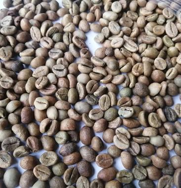 罗姆斯达咖啡豆图片