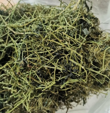 绞股蓝平利野生绞股蓝茶三高茶一斤包邮到家