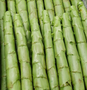 四川三青莴笋精品杆子系列去皮系列工厂规模化生产