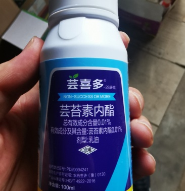 云大万保yd120 28-表高芸苔素内酯脂高效正品调节生