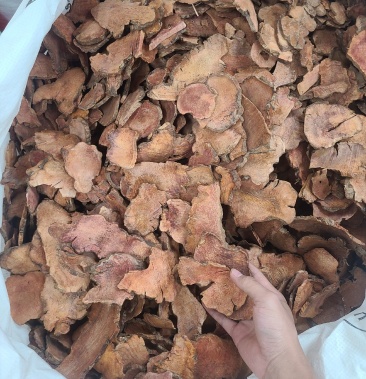 土茯苓红肉白肉颜色好白肉漂亮精选大片