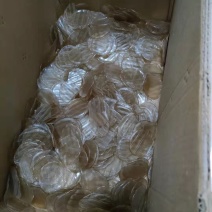 红薯小粉皮，电商平台热销产品，欢迎线上线下老板洽谈。