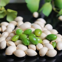 休闲零食白果营养丰富支持拿样
