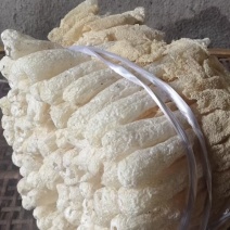 食用菌干货竹荪福建农家特产长裙竹荪批发定制各种规格包装