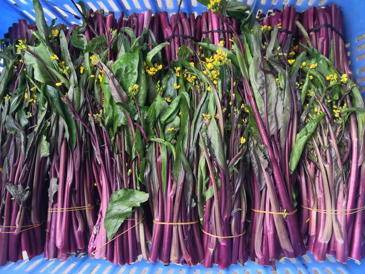新鲜红菜苔特写