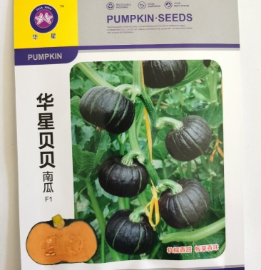 贝贝南瓜种子小贝贝南瓜种籽春秋种植南瓜籽甜面南瓜种子