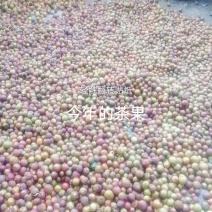 我家想卖茶果生的