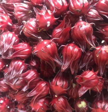 洛神果洛神花干,产地直销,量大从优,质量有保证