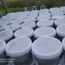 [牛]传统工艺，一年天然发酵，打造地域美食，批发散装臭豆腐
