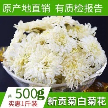 七月菊正品保证质量无理由退货退款安品堂