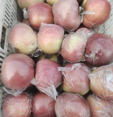 [苹果批发]斗南苹果,河北苹果,脆甜可口,个大色好,货源充足,量大优惠