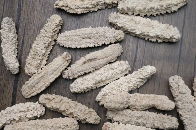 25头黄玉参海参泡发厚肉条形漂亮直条饱满厚肉