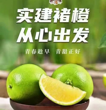 实建褚橙果子自然清香果皮薄口感细腻一件也是批发价