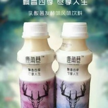 网红鹿角巷乳酸菌特价走量款，适合团购、平台、餐饮、商超等