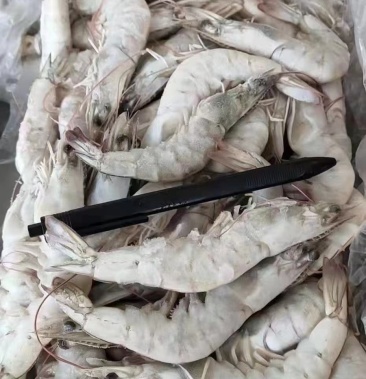 盐田大虾(国产六盒)