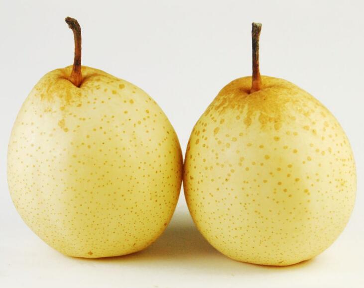 一颗完整的水晶梨放置在白色背景上,果皮呈淡黄绿色,表面光滑有蜡质光泽,无明显斑点或损伤;果实为扁圆形,果梗直立完整,周围有轻微阴影突出立体感,用于展示水晶梨的标准外观形态 整颗水晶梨静物特写