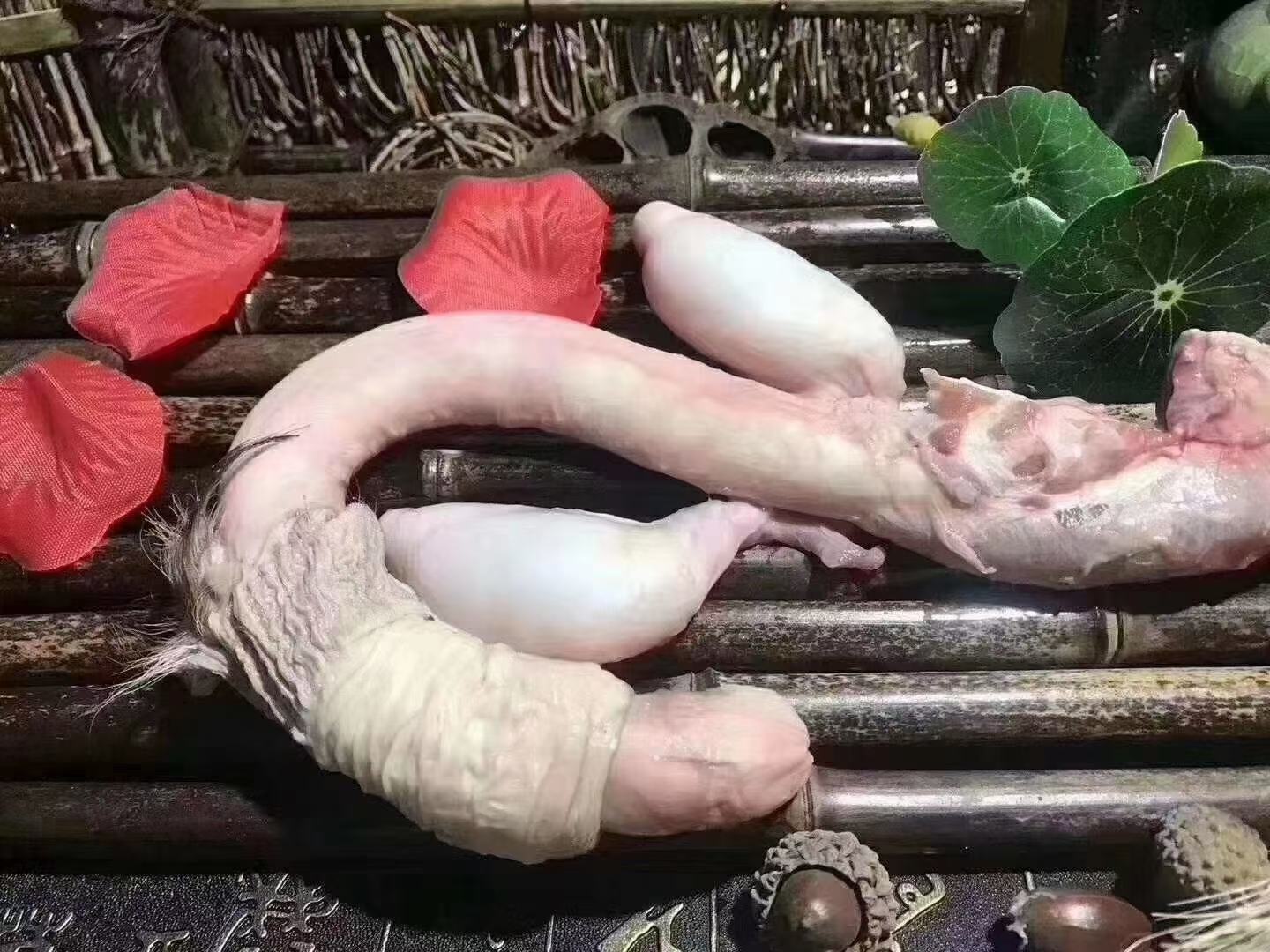 女性食用鹿鞭的营养分析