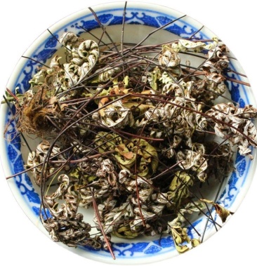 通经草 正品 也叫铜丝草 量大从优 欢迎选购