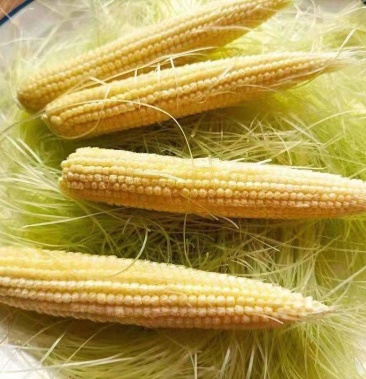 玉米笋嫩玉米芯仔甜小玉米笋新鲜采现发带皮玉米笋批发包邮