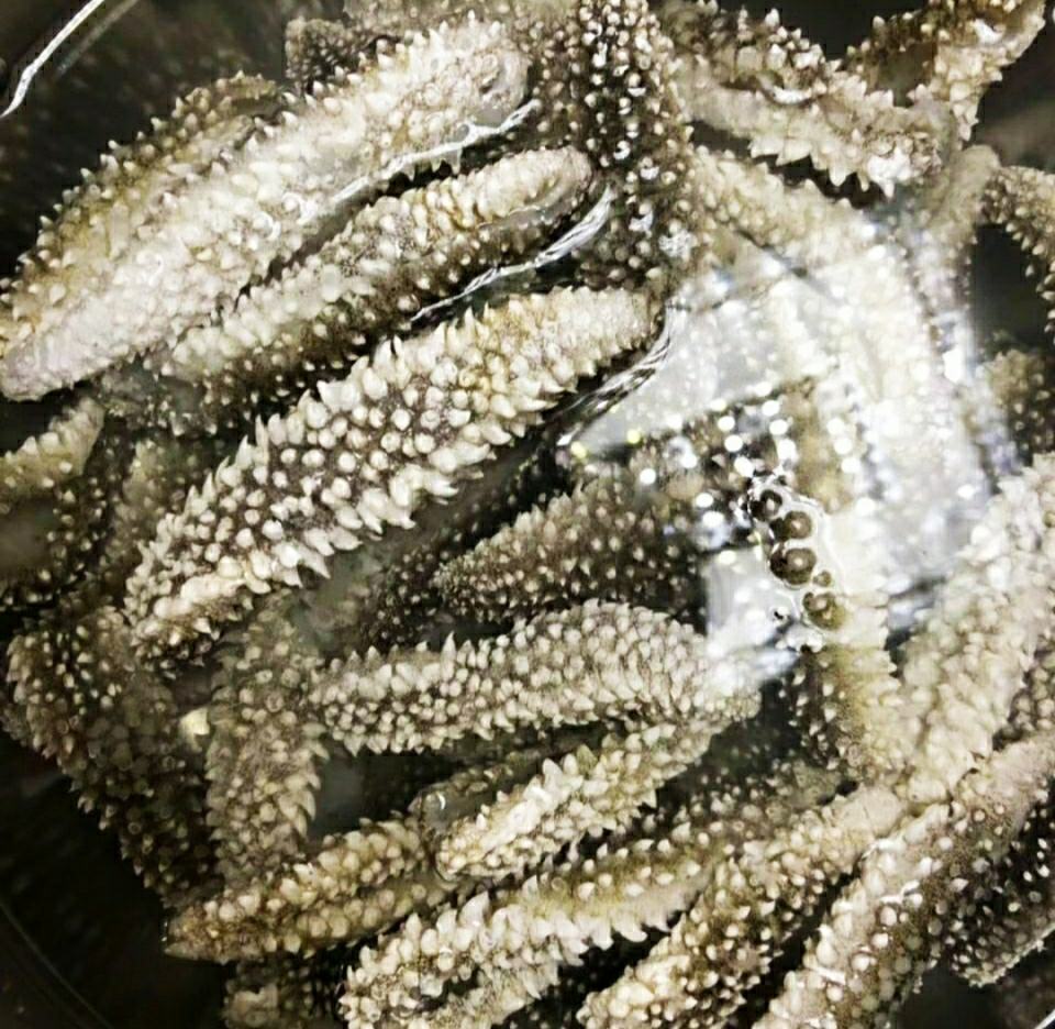 鲜参食用方式展示图