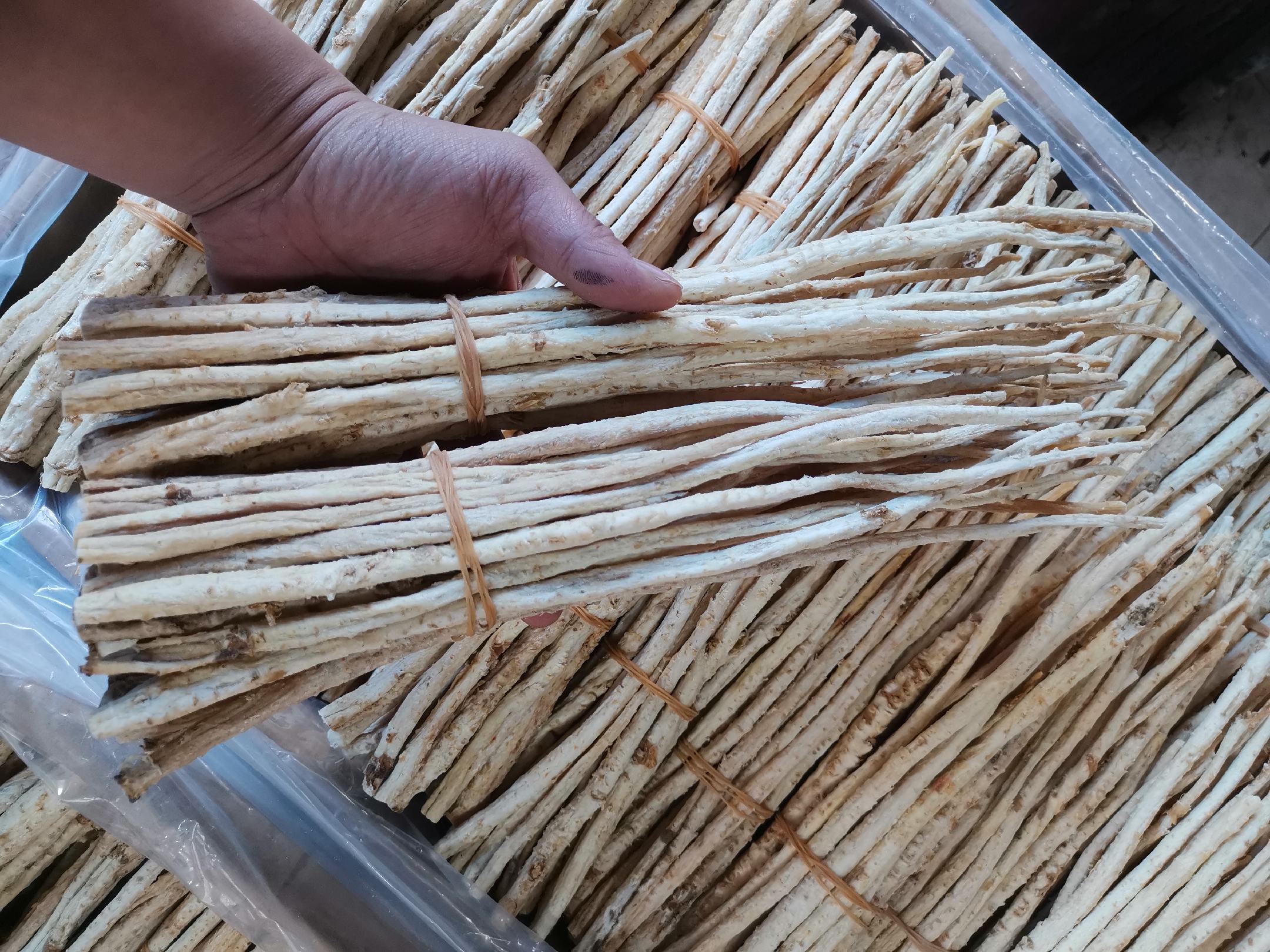 展示北沙参、猪肉、枸杞、姜片等食材整齐摆放在案板上的画面 北沙参菜食材准备图