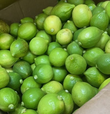 [香水柠檬批发]香水柠檬价格8.00元/斤 - 一亩田