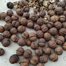 漾濞县大泡核桃甜菠萝果4..8一斤