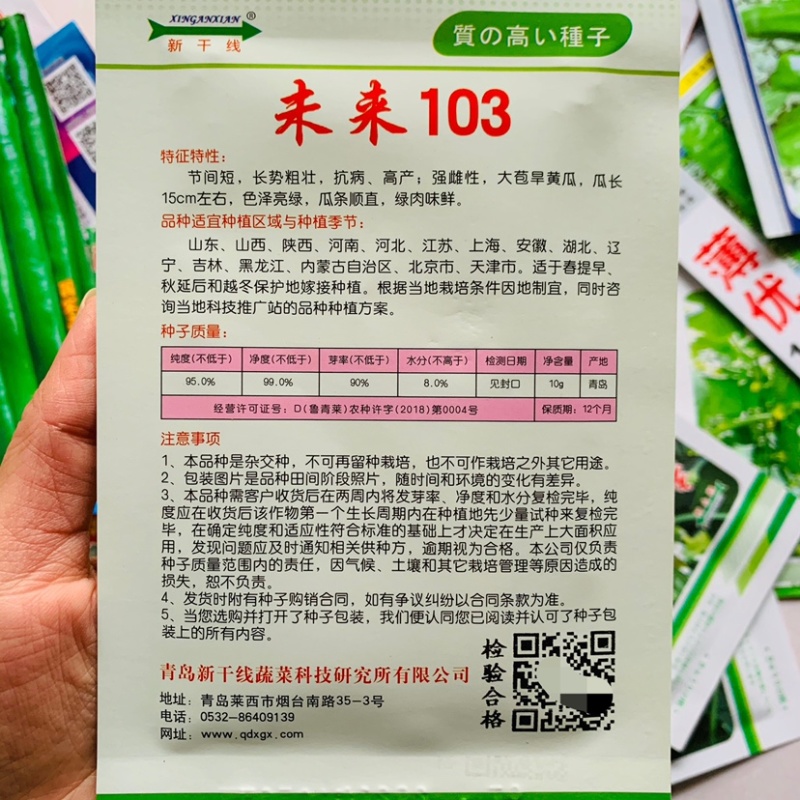 蜜橙和黄瓜的推广码图片