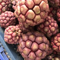 黑老虎果