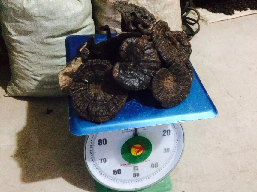 实验室检测场景