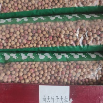 南天竹子冷背专营中药材量大从优