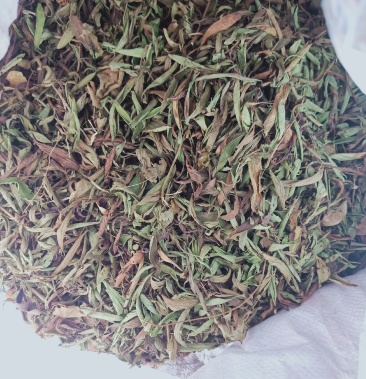 [甜叶菊批发]甜叶菊价格18.00元/斤 - 一亩田