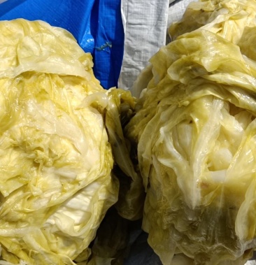 [腌制萝卜批发]甘蓝价格700.00元/吨 - 一亩田