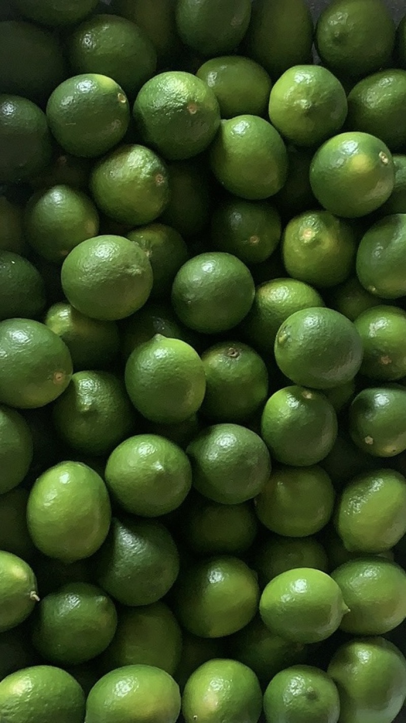 越南青柠檬小柠檬冬阴功原料香水青柠檬小青柠餐饮专用