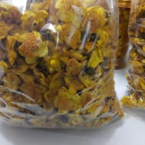 金花茶