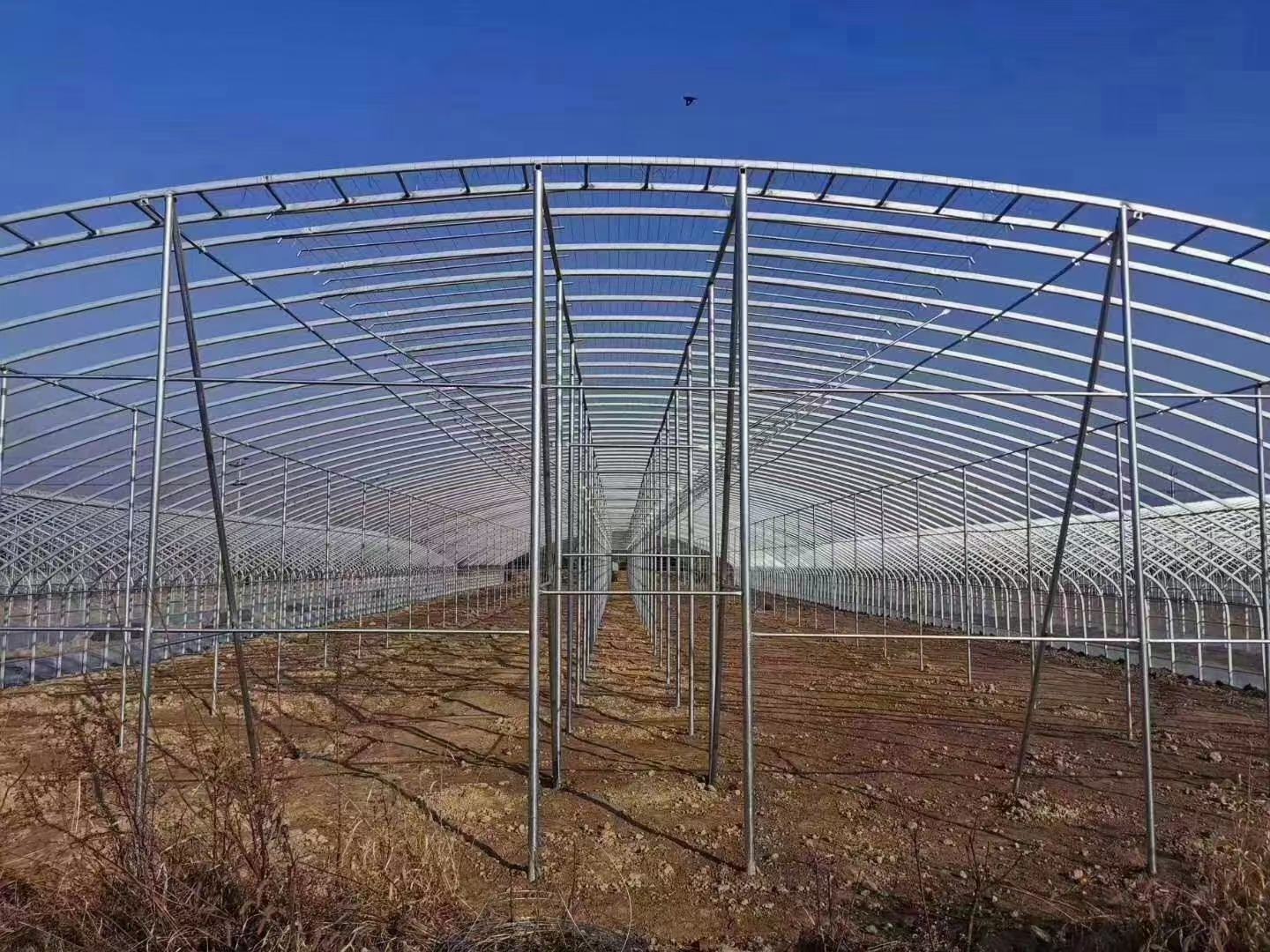 图示:广西南宁基地双层平棚架剖面结构。清晰标注上层1.8 m镀锌方管+5×5 cm钢丝网、下层1.2 m不锈钢网、3°内倾排水角、橡胶减震垫位置、M12不锈钢螺栓连接节点。 双层平棚架结构剖面图