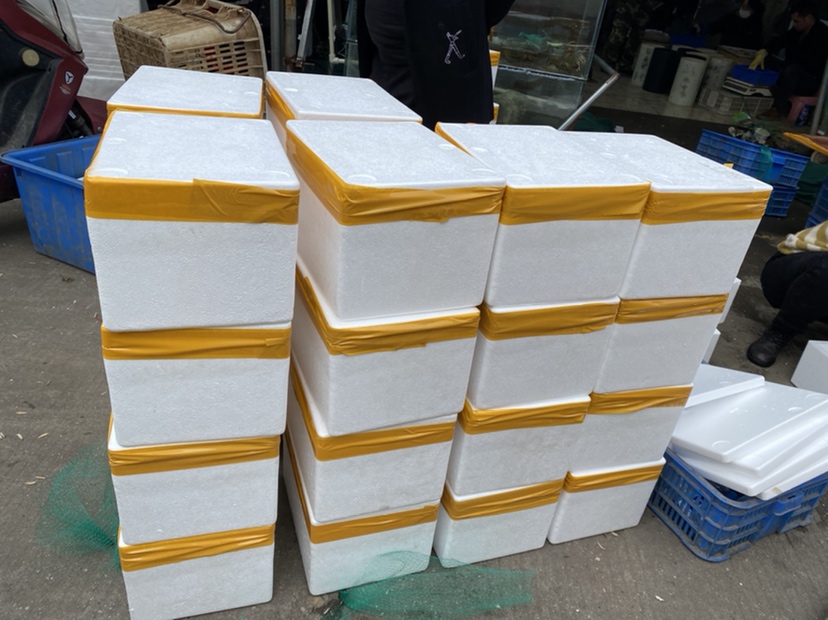 大闸蟹被整齐地放置在泡沫箱中,旁边放置冰袋 大闸蟹冷藏保存方法