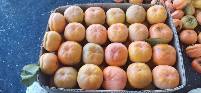 包装精美的磨盘柿礼盒与新鲜果实特写