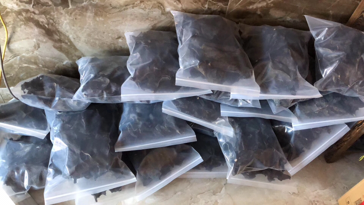 市场售卖的干制海带根产品